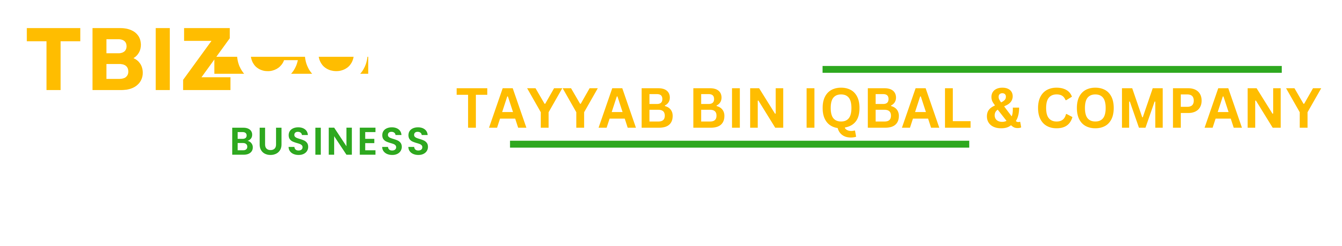 TAYYAB BIN IQBAL AND CO 