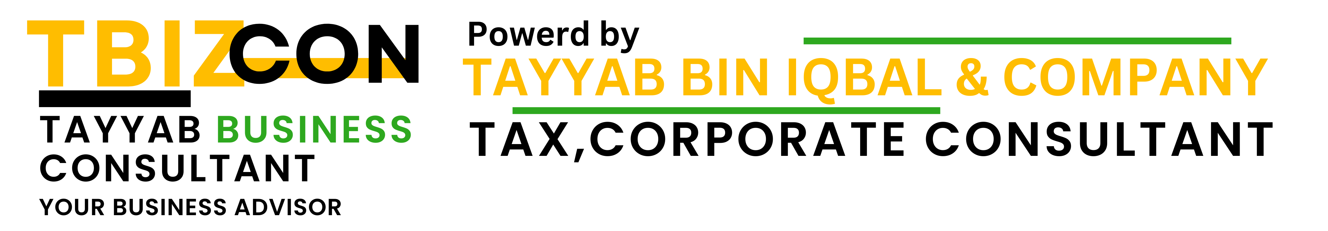 TAYYAB BIN IQBAL AND CO 